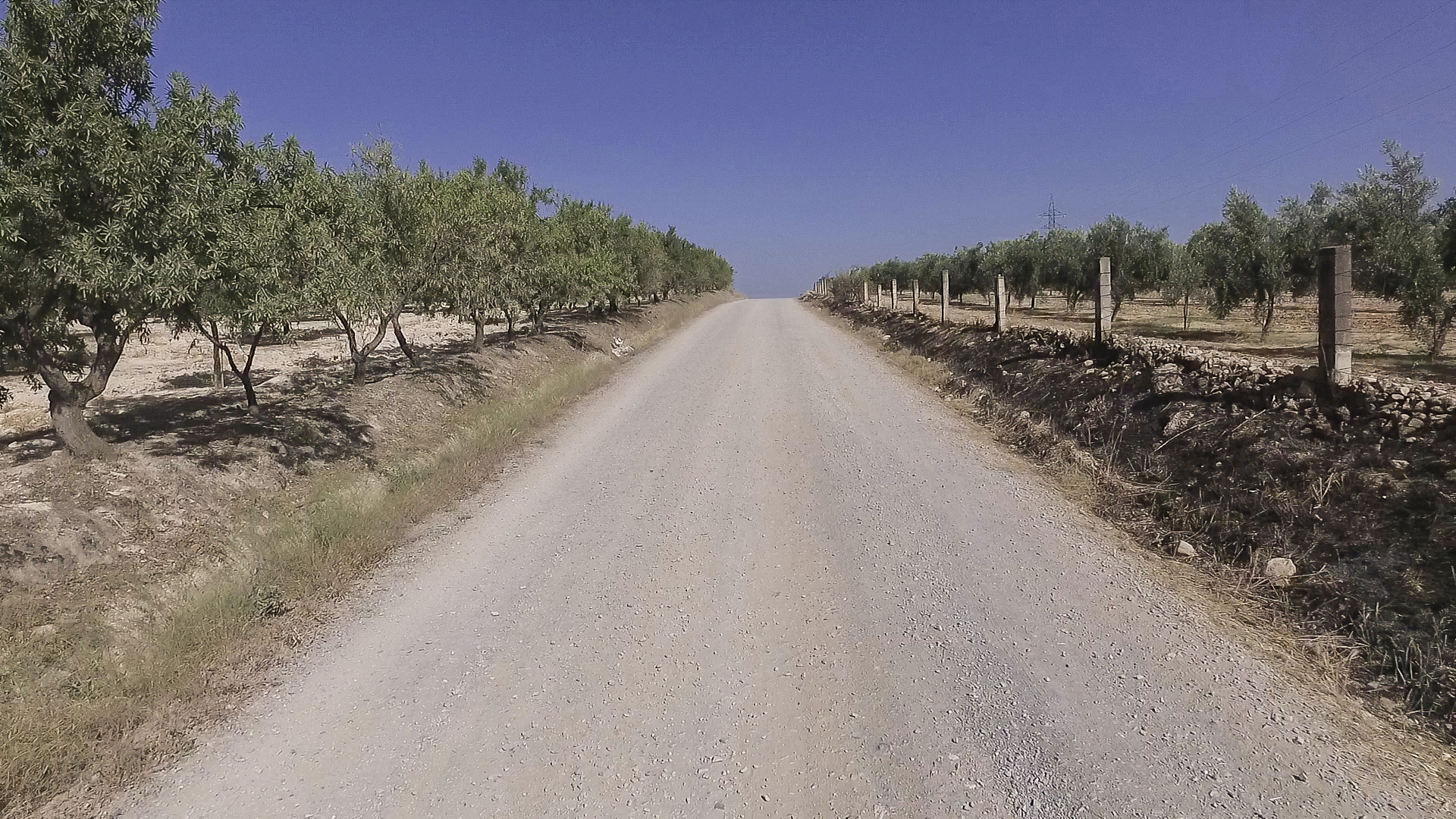 Rehabilitación de caminos rurales